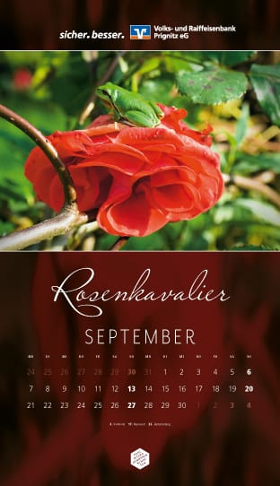 Kalenderblatt September