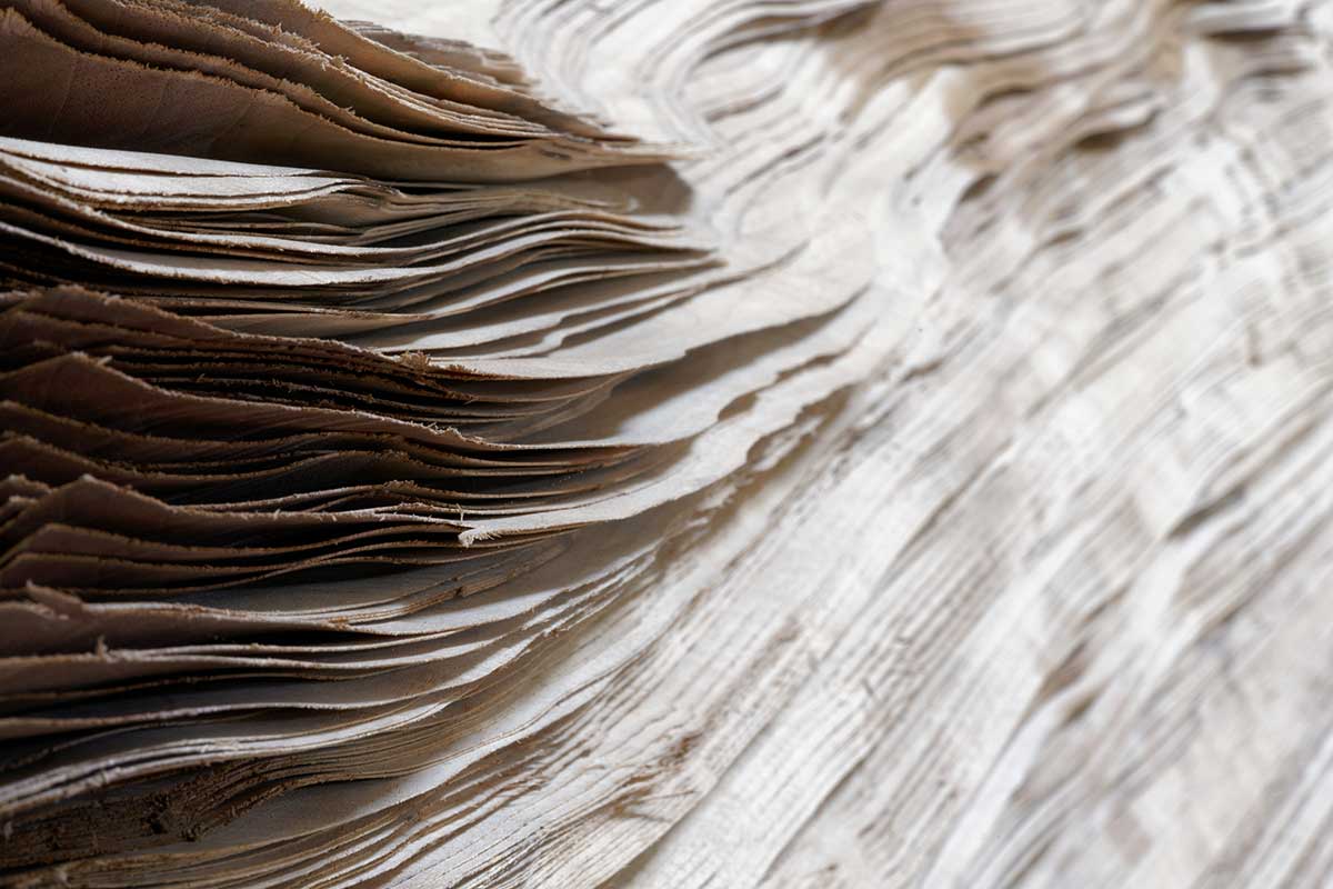 Furniere frisch geschnitten