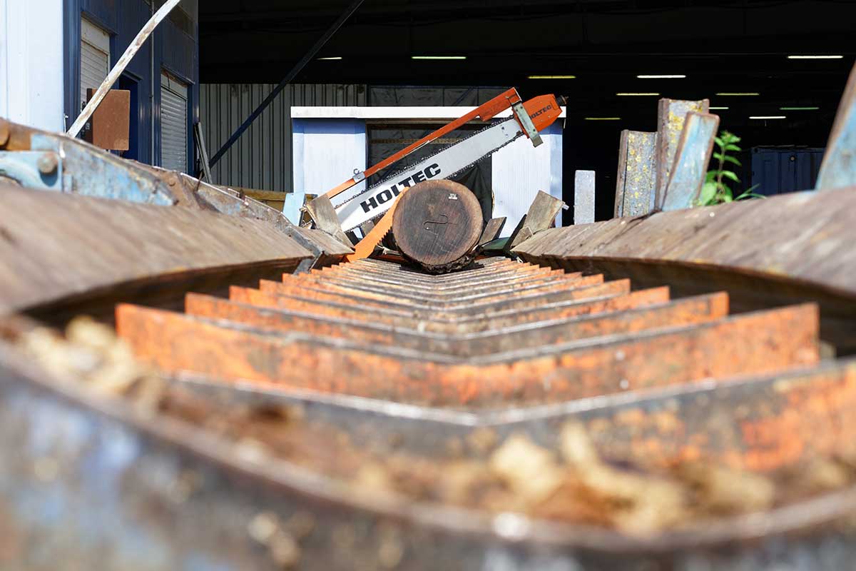 Baumstamm auf dem Förderband