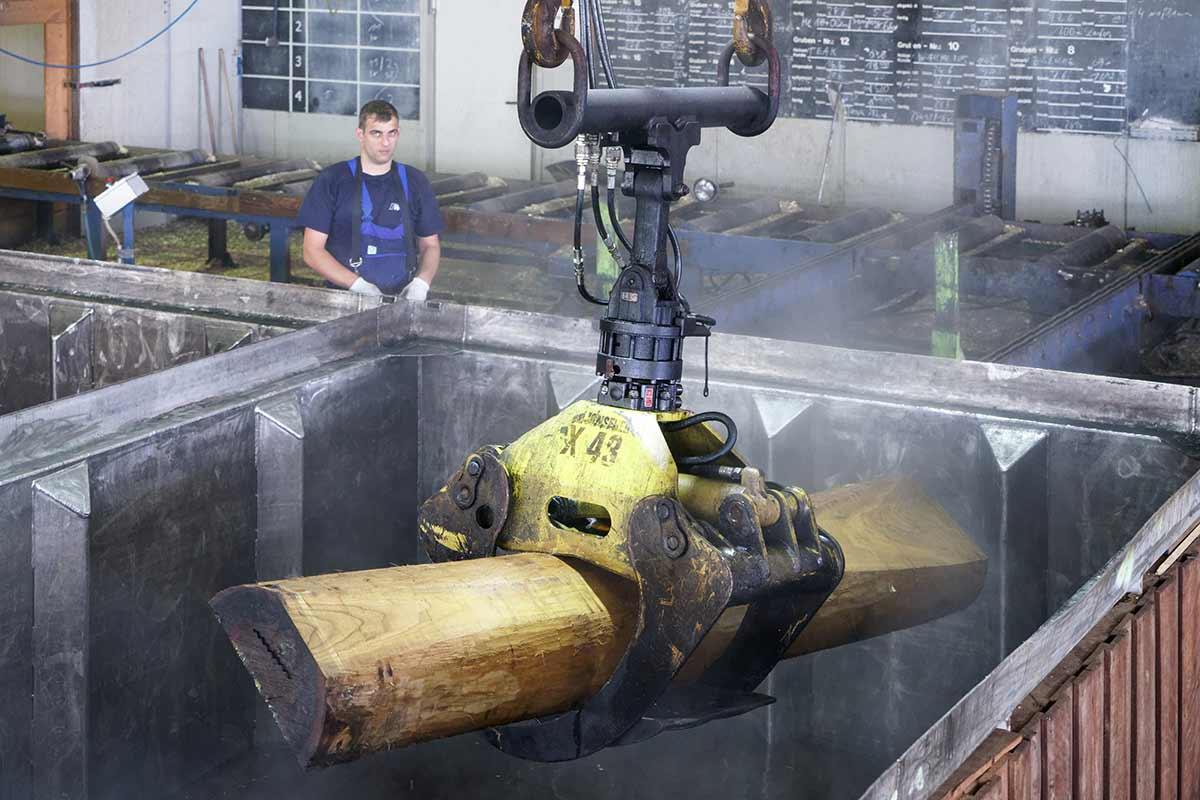 Furnierholz wird aus dem Kochbecken gehoben